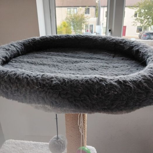 Cat Scrater and Play Lounge