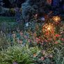STARBURST solar light garden / event / wedding / decoration Image 6