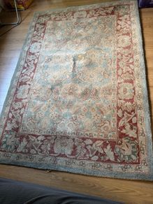 Large 100% Wool Rug (165x235cm) - Traditional Agra Twist - Sage & Terracotta