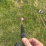 golf clubs Image 9