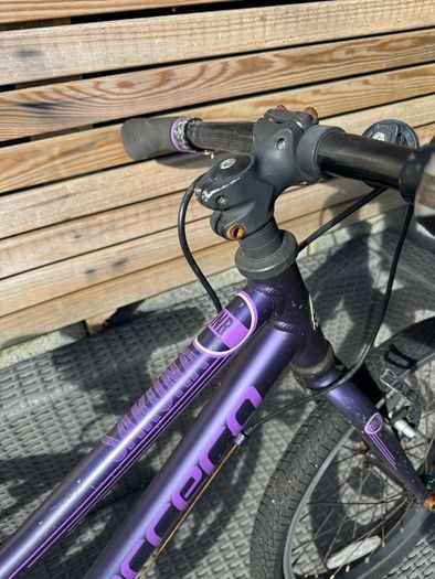 Carrera kids bike
