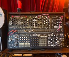 Make Noise Shared System Black & Gold Plus