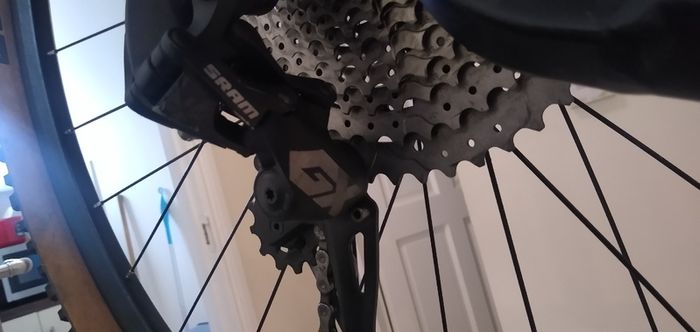 Massi Fura 29" 2019 hardtail