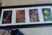 Framed Still Life Photo Of Irish Wildflowers.