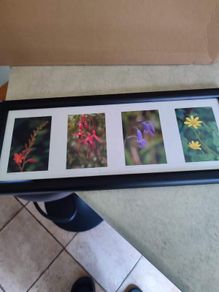 Framed Still Life Photo Of Irish Wildflowers.