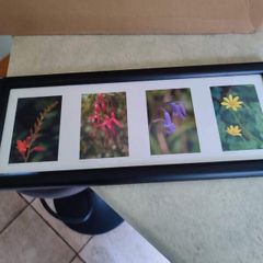 Framed Still Life Photo Of Irish Wildflowers.