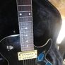 Hohner lp Image 7