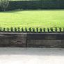 Box Hedging Image 6