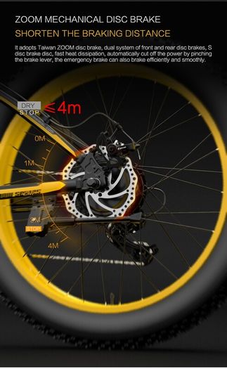 Lankeleisi Xf4000 Electric Bike