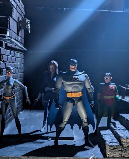 Dc Direct Batman The Animated Series Action Figures For Sale in ...