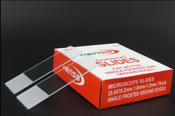 50x Microscope slides single end frosted on one side