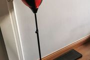 punching ball  with gloves