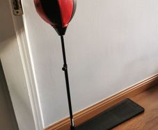 punching ball  with gloves