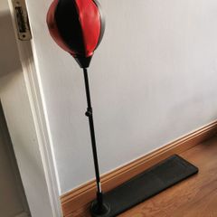 punching ball  with gloves