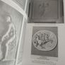 Irish Eighteen Century Stuccowork and It's European Sources Image 2