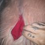 Girls pink fluffy chair great senory bought Image 3