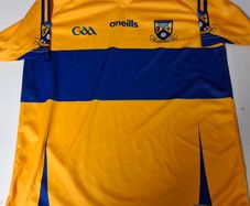 Raheens GAA (Kildare) O'Neills Gaelic Football Jersey (Youths 13 Years) FREE POST