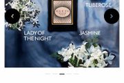 GUCCI BLOOM 100ml parfum intense for her