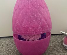 Hatchimal