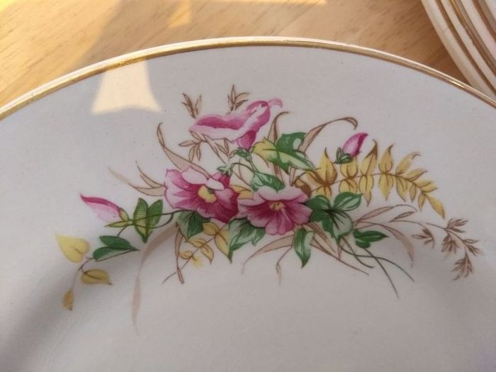 Beautiful 1950s Almost Complete Dinner Service by Arklow Pottery in Pattern Number 2508