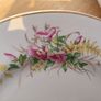 Beautiful 1950s Almost Complete Dinner Service by Arklow Pottery in Pattern Number 2508 Image 7