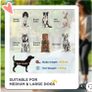Brand-New PawHut Image 3