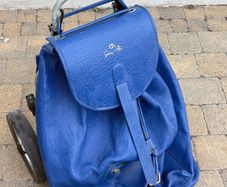 Trolley shopping bag