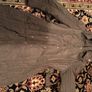 Planet Coat with detachable hood, size-14 Image 4