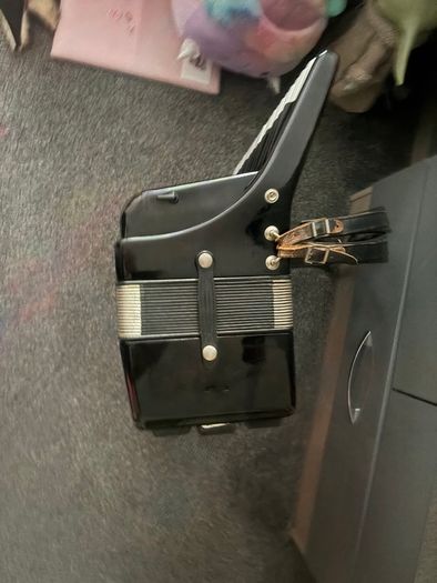 weltmeister caprice accordion