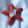 Starfish Ornament Image 4
