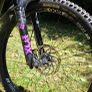 MTB 2021 Orbea Rallon 29inch L-size Carbon Image 3