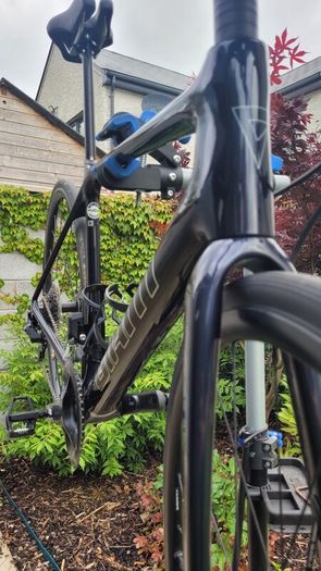 Giant TCR (2023)
