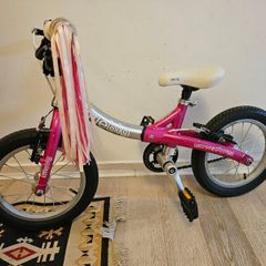 LittleBig Bike