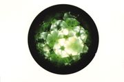 Fovea Hex CD - Huge