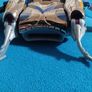 Transformers Beast Wars Depth Charge Image 3