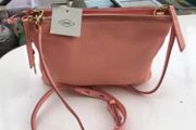 Fossil crossbody bag . Two sections