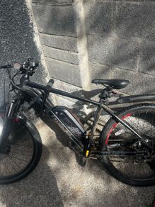 Carrera Vengeance E mountain bike