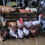 schleich farm Image 9