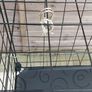 Hamster Cage Image 2