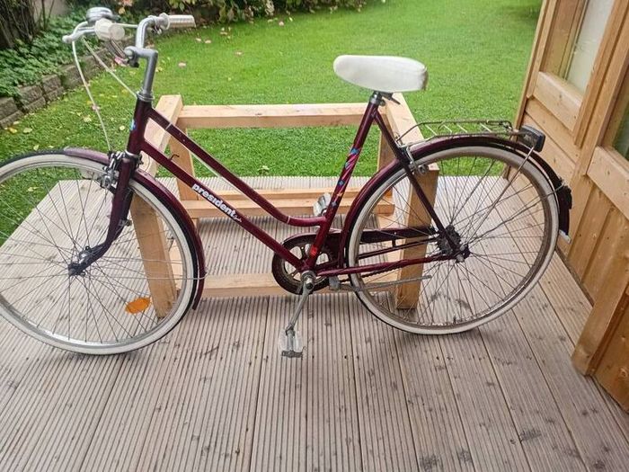 adults bike