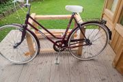 adults bike