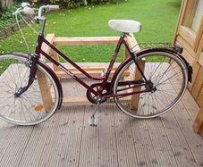 adults bike