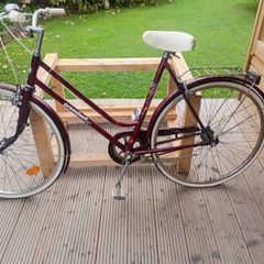 adults bike