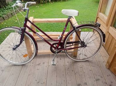 adults bike