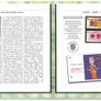 2006 Jersey (Channel Islands) Stamp Year Book (softback) issued by Jersey Post with 18 images of contents Image 7