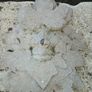 Concrete Garden  ornaments Image 2