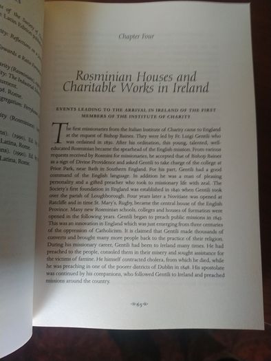 Rosminians: Their Irish Story