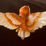 Owl Trinket Box Image 6