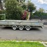 16 6/6 foot Dane Kane Image 4