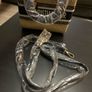 bag Image 9